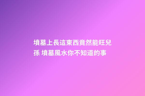 墳墓上長這東西竟然能旺兒孫 墳墓風水你不知道的事